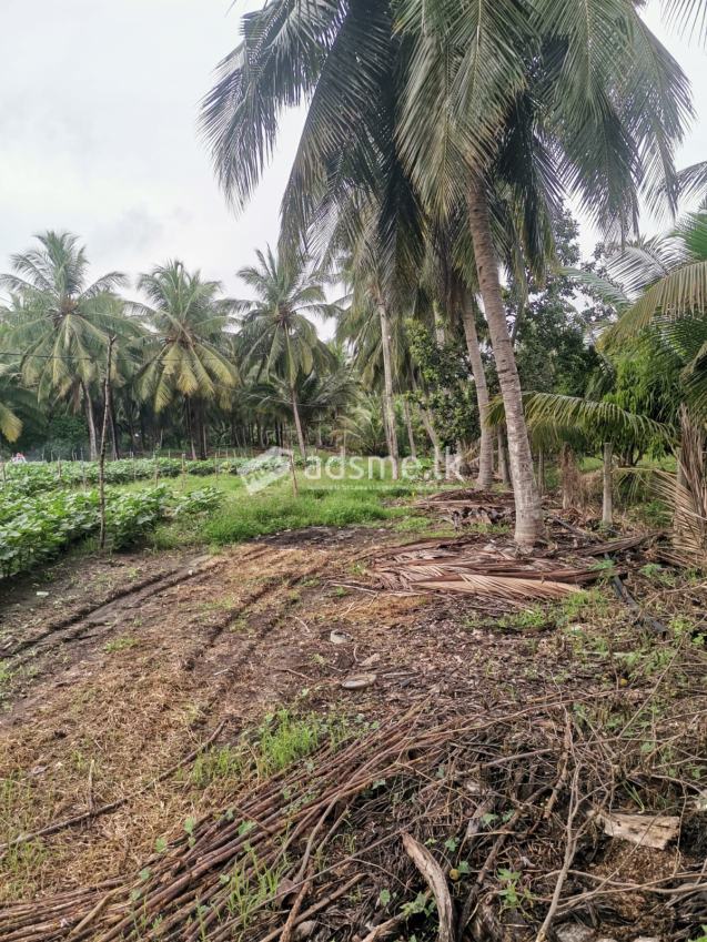 Land With House For Sale