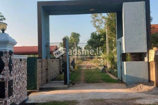 Good Residential Land for Urgent Sale at Katana, Negombo.
