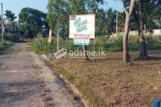Good Residential Land for Urgent Sale at Katana, Negombo.