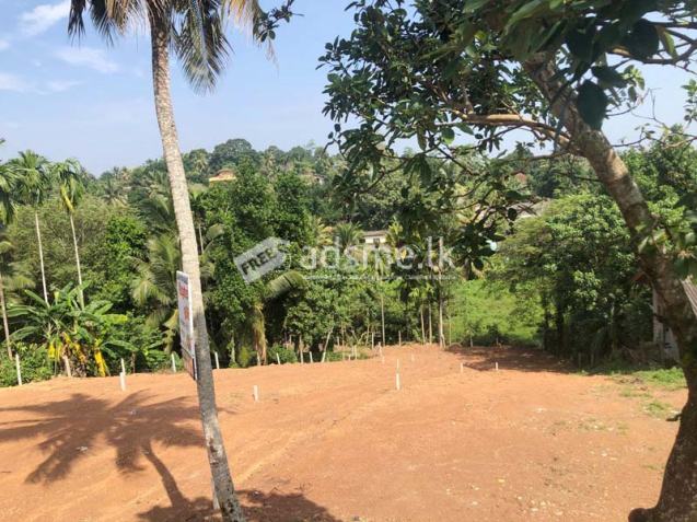 Land Blocks for sale at Panadura.
