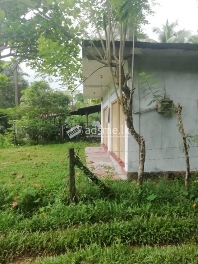 House For Sale In Horana