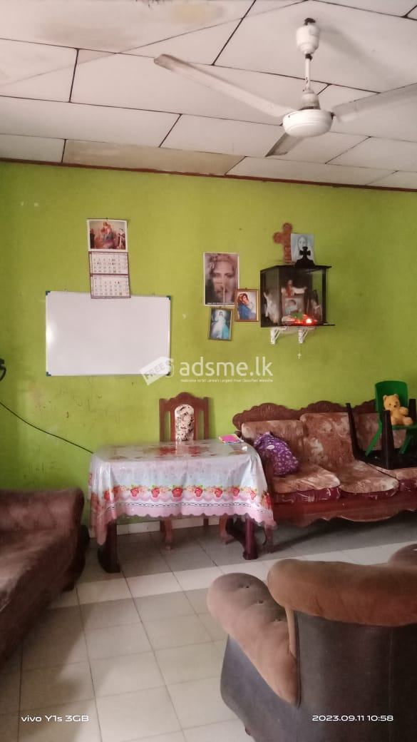 House With Two Shop For Sale