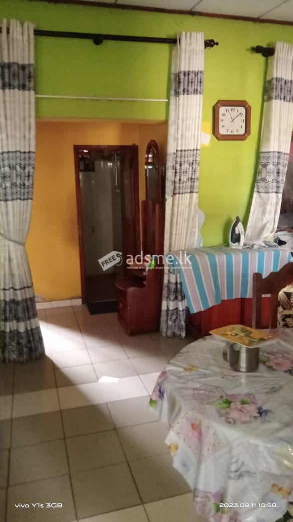House With Two Shop For Sale