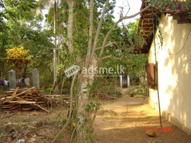 House with two other lots of land for sale