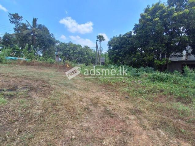 Residential Land Blocks for sale in Padukka, Millewa.