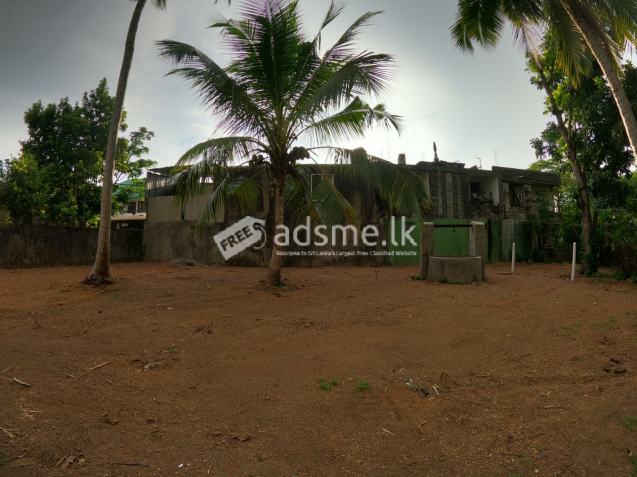ඉඩමක් විකිනීමට