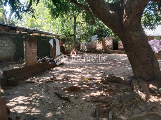 Excellent 10 perch land sale in polonnaruwa kaduruwela