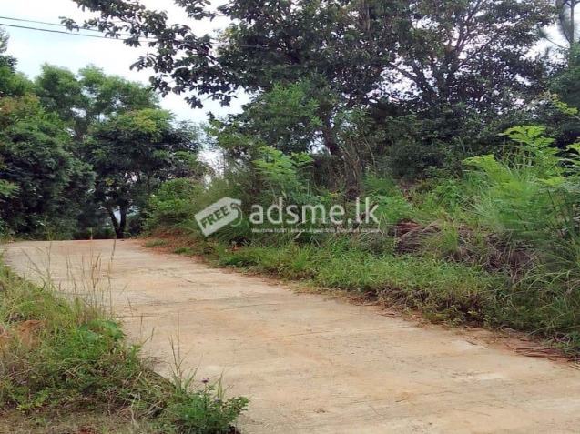 Valuable Eco-friendly Land for Sale – Belihuloya, Balangoda