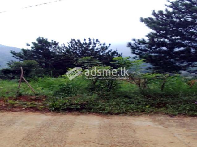 Valuable Eco-friendly Land for Sale – Belihuloya, Balangoda