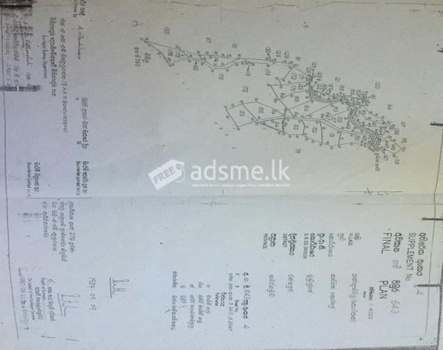 Valuable Eco-friendly Land for Sale – Belihuloya, Balangoda