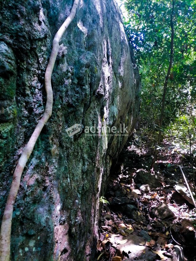 මොණරාගල නගරයට 5km දුරින් අක්කර දෙකක ඉඩමක්