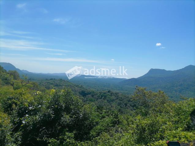 මොණරාගල නගරයට 5km දුරින් අක්කර දෙකක ඉඩමක්