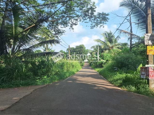 Prime Residential Land for Sale, Nittambuwa City Limit.