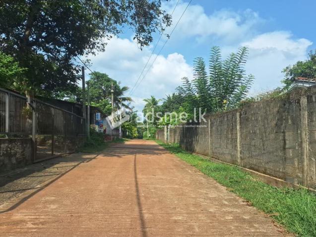 Prime Residential Land for Sale, Nittambuwa City Limit.