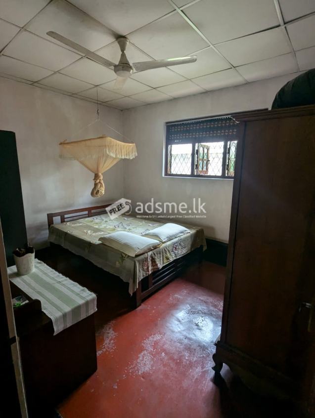 House For Rent / නිවසක් බදු දිමට ඇත