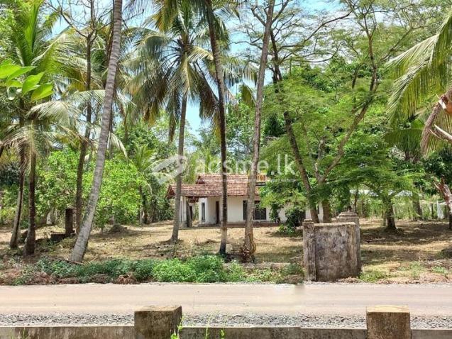 Commercial cum Residential Land for Sale in Galpola, Kuliyapitiya