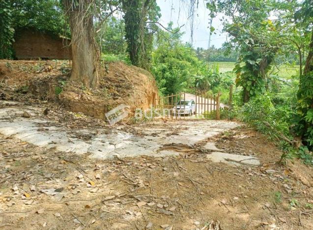Exceptional Investment Opportunity – Valuable Land for Sale in Mirissa!