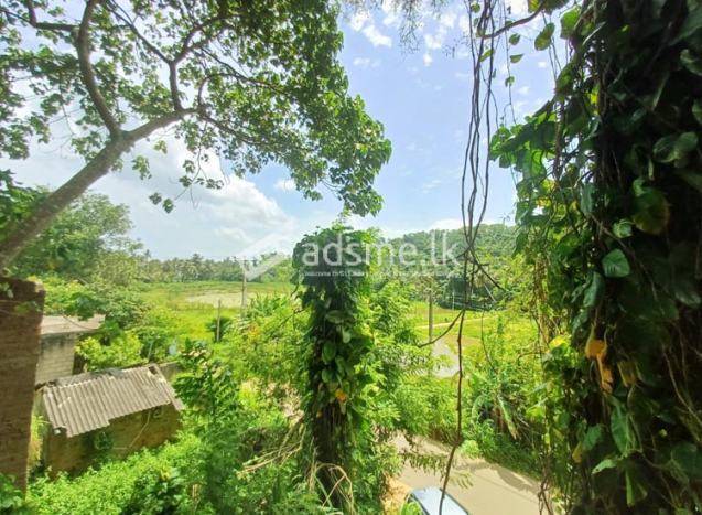 Exceptional Investment Opportunity – Valuable Land for Sale in Mirissa!