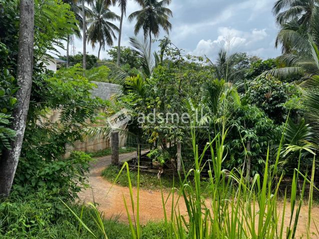 Valuable Semi-Commercial Land for Sale Mawathagama, Kurunegala District