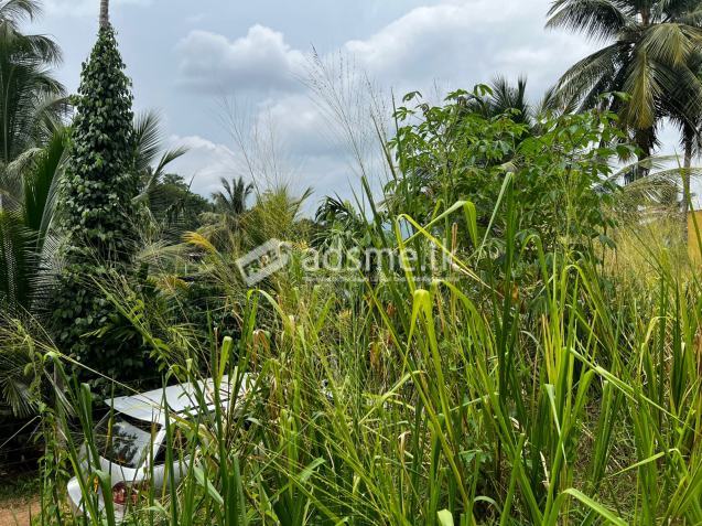 Valuable Semi-Commercial Land for Sale Mawathagama, Kurunegala District