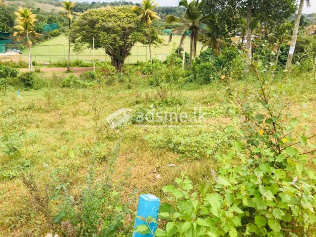 Land For Sale