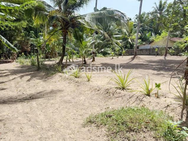 24 Perches of Land for Sale in Udugampola, Gampaha.