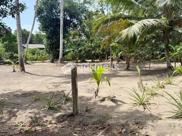24 Perches of Land for Sale in Udugampola, Gampaha.