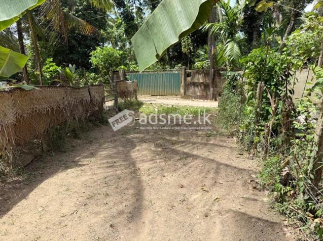 24 Perches of Land for Sale in Udugampola, Gampaha.