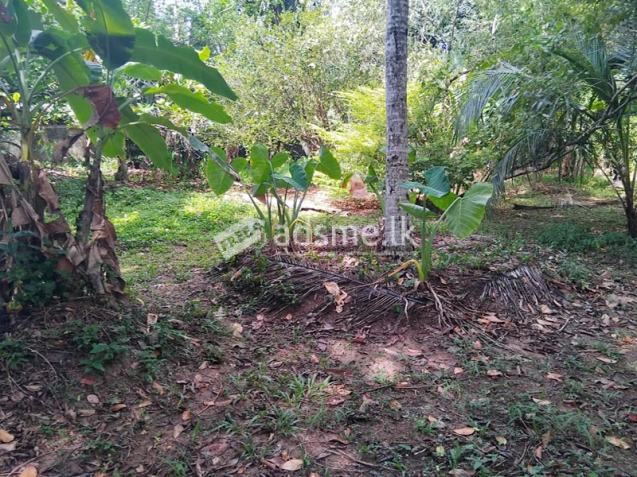 Exclusive Land for Sale – 50 Perches on Parakrama Road, Gampaha.