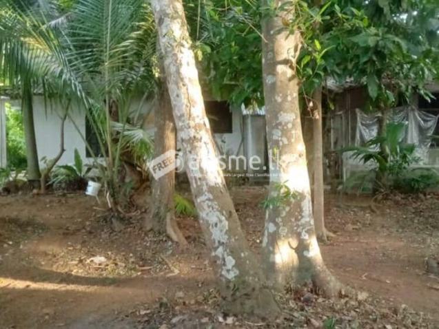 Valuable Residential Land for Sale in Mangala Mawatha, Kadawatha.