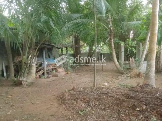 Valuable Residential Land for Sale in Mangala Mawatha, Kadawatha.