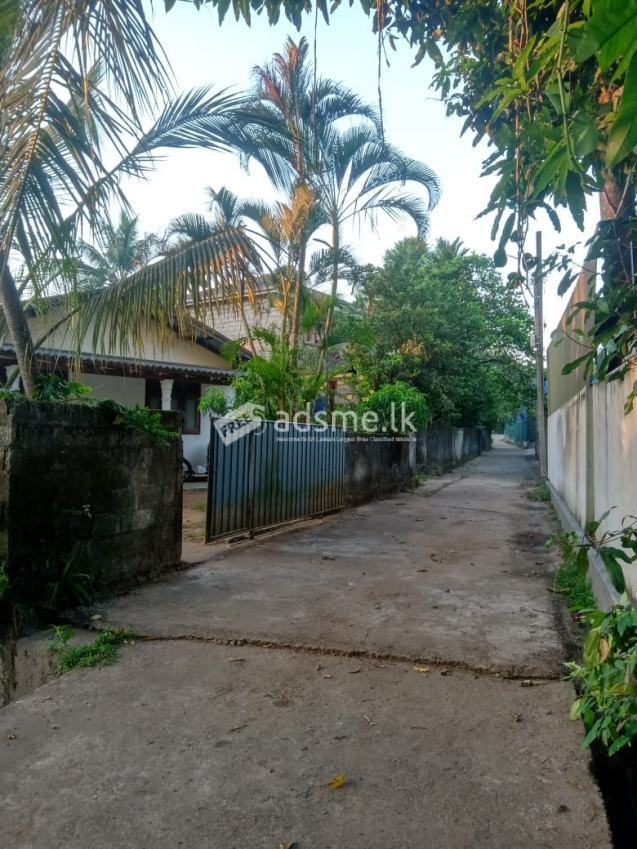 LAND AND HOUSE FOR SALE