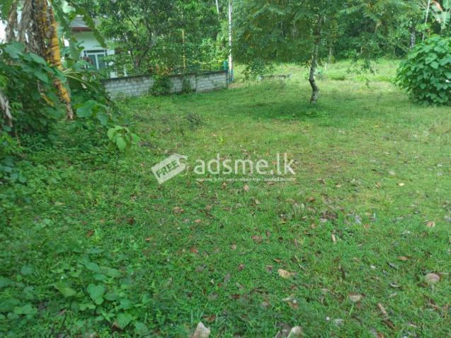 Land for sale near Kirillawala and Weliweriya