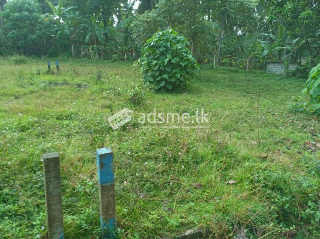 Land for sale near Kirillawala and Weliweriya