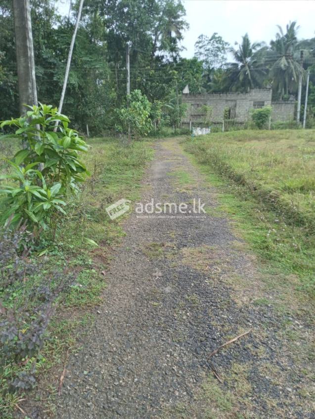 Land for sale near Kirillawala and Weliweriya