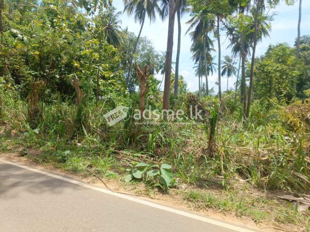 අගනා ඉඩමක් විකිණීමට