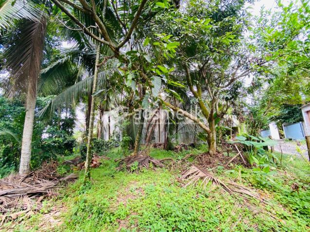 Land for Sale in Gampaha, Hansagiri Rd