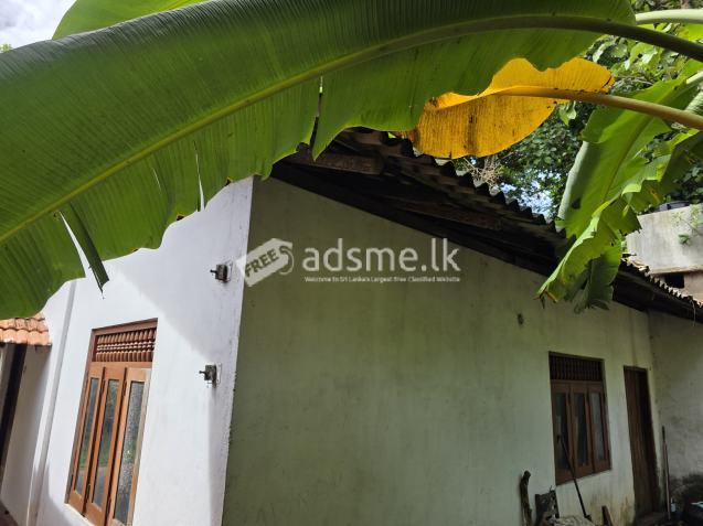House for rent walking distance to Kadawatha bus stand