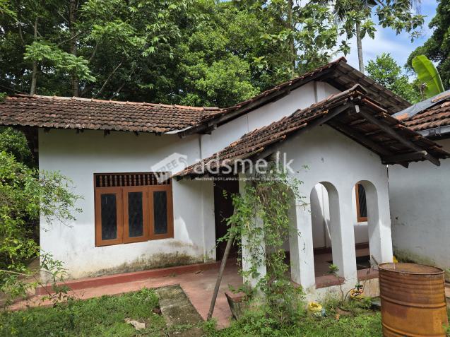 House for rent walking distance to Kadawatha bus stand