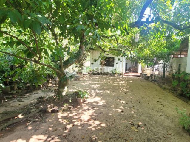 Commercial cum Residential Land for Sale – Udugampola, Gampaha.