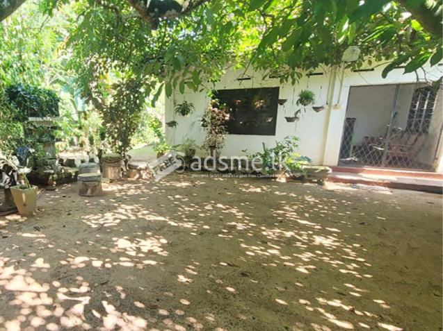 Commercial cum Residential Land for Sale – Udugampola, Gampaha.