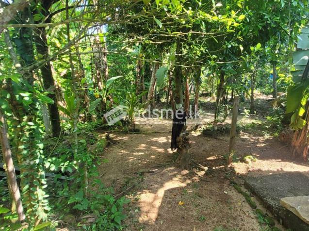 Commercial cum Residential Land for Sale – Udugampola, Gampaha.