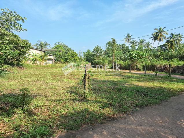 15 Perches of Land for Sale in Udugampola, Gampaha.