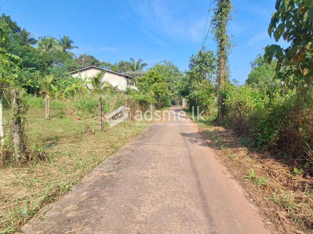 15 Perches of Land for Sale in Udugampola, Gampaha.