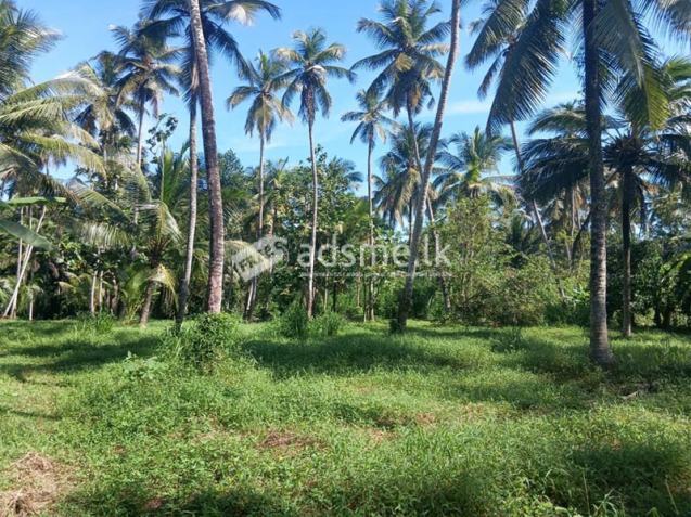 2.5 acres of valuable land for sale in Medagampitiya, Divulapitiya.