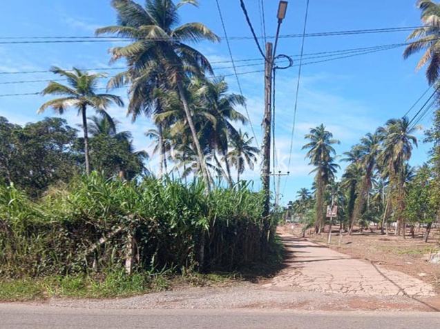 2.5 acres of valuable land for sale in Medagampitiya, Divulapitiya.