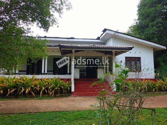 22.5 Acres Coconut Cultivated Land for Sale at Godigamuwa, Badalgama.