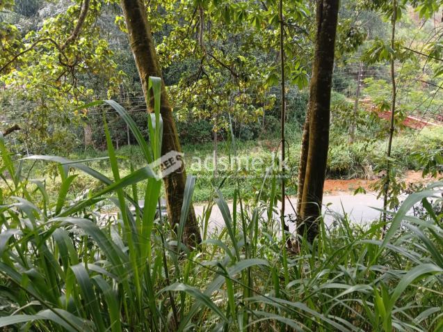 Land Sale in Ulapane (60 Perch)