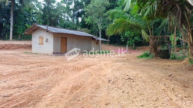 House With Land For Sale