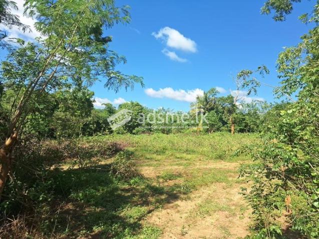 A valuable 2.5 acre land is for sale in plots Colombo – Kataragama main road.